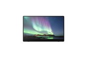 Scherm - 15.6" Ricoh 150BW - OLED monitor - Full HD (1080p) - 514910