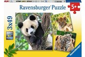 Puzzels - Ravensburger Panda Lion And Tiger 3x49p - 05666