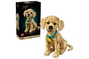 LEGO® - LEGO Icons 11384 Golden retriever puppy - 11384