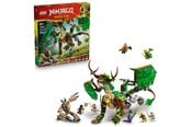 Speelkeuken en apparatuur - LEGO De Draak van het Leven - 71859