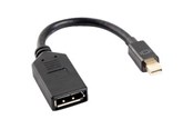 Beelscherm- en tv-kabel - Lanberg DisplayPort adapter - 12 cm - AD-0003-BK