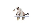 Katten - AFP - Skywalk Groom & Play Platform - Wall-mounted - 2271