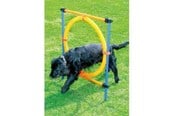 Honden - Pawise - Agility Ring 55Cm - 636.9004