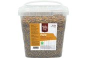 Vogelvoer, snacks & vitaminen - Hobby First - Pure Mealworms - 850g - 5400515011532