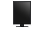 Scherm - 21" EIZO RadiForce MX217-SB - 1200x1600 - IPS - MX217-SB
