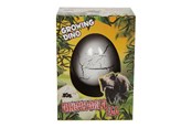 Speelgoedpop - Pocket Money Growing Dinosaur Egg 6cm - assorted - 620370