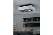 Lampen - EGLO LOKE 1 PLAFONDLAMP 2L GEBORSTELD ALUMINIUM - 91353