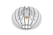 Lampen - EGLO STELLATO PLAFOND Ø300 WIT - 95028