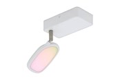 Lampen - EGLO PALOMBARE-C SPOT RGBTW 600LM WIT - 97691