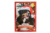Honden - Treat Time Kerst Adventskalender voor Honden - 61000