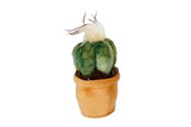 Kleine cadeautjes voor kinderen - Take Me Home Plants Plush S 12-17cm 3asst. - 660572