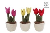 Kleine cadeautjes voor kinderen - Pocket Money Plants Plush tulip 25cm - assorted - 660627