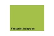 Papier, fotopapier en etiketten - Quantore - Copy paper Fastprint A4 80gr bright green 100 sheets - 129675