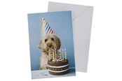 Hobby artikelen - SCANSEASON Card with envelope dog with cake 11*17cm - 100253