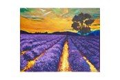 Hobby artikelen - CENTRUM Diamond Painting 40*50cm. LILLA MARK - 80906