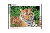 Hobby artikelen - CENTRUM Diamond Painting 30*40cm. Tiger - 89752