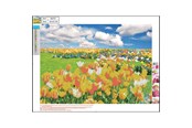 Hobby artikelen - CENTRUM Diamond Painting 30*40cm. Tulip field - 89757