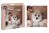 Hobby artikelen - Creative Craft Group Diamond Painting 20*20cm. Dog - CR2097/23GE3