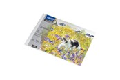 Hobby artikelen - SPREE Drawing pad 350g. 10 sheets. A5 210*150mm. - 41915