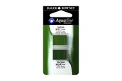 Schrijf- en tekenartikelen - Daler-Rowney Aquafine HP Sap Green/Olive Green - 16-131017016