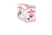 Katten - Royal Canin Kitten in Gravy 85g (12-Pack) - 9003579308745