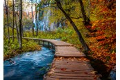 Puzzels - Ravensburger Autumnal wood trail (1000) - 12001764