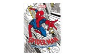 Hobby artikelen - Deltas Marvel Spider-Man The Ultimate Coloring Book (NL) - 101822