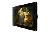 Digitizer / tekentablet - Huion Kamvas Pro 13 - GT133