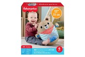 Speelgoed voor baby's - Fisher Price Fisher-Price JLB83 learning toy - JLB83
