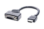 Beelscherm- en tv-kabel - Lindy adapter - 20 cm - 41227