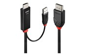 Beelscherm- en tv-kabel - Lindy adapter cable - 1 m - 41498