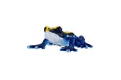 Speelgoedpop - Mojo Wildlife Poison Dart Frog Blue - 381069
