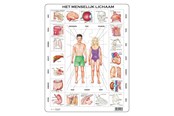 Puzzels - Selecta Play Larsen The Human Body 35st. Vloer - LA-OB1-NL
