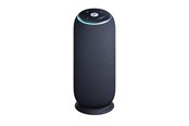 Luidspreker (draagbaar en voor feesten) - Motorola moto sound flow - PANTONE Carbon - PG38C07843