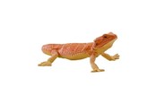 Speelgoedpop - Mojo Wildlife Bearded Dragon - 381096