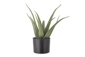 Decoratie - Bloomingville Aloe - 82061499