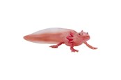 Speelgoedpop - Mojo Wildlife Axolotl - 381108