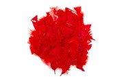 Schrijf- en tekenartikelen - Colorations - Red Feathers 25 grams - CHREDF25