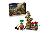 LEGO® - LEGO Harry Potter 76474 Zweinstein™ Kruidenkunde planten - 76474