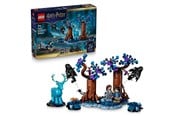 LEGO® - LEGO Harry Potter 76475 Verboden Bos: Expecto Patronum - 76475