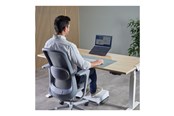 Systeemaccessoires - Fellowes Alumia - notebook stand - portable - 100138868