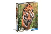 Puzzels - Clementoni Puzzle 1000 Pcs CB The Hunter's Path - 37108