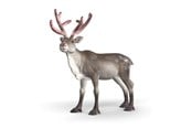 Schleich - Schleich Rose Gold Christmas Reindeer - 75004