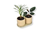Decoratie - Simiu TWINDA - Double Planter in beige and light olive - 8.5cm - 5714255012392