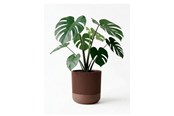 Decoratie - Simiu GROWLOFT - Flower Pot Shelter With Drip Tray - Mocha - 8.2cm high - 5714255012132