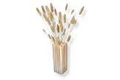 Decoratie - Simiu NORA - Vase - 21cm - 5714255012354