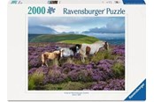 Puzzels - Ravensburger Wild Horses 2000p - 14+ - 12001751