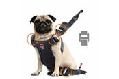Honden - Zolux Travel Safe Isofix Car Safety Harness Black Small 7-15kg - 3336024621202