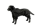 Honden - Dogman Dot - 757032