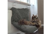 Katten - Dogman 804960 dog / cat bed - 804960